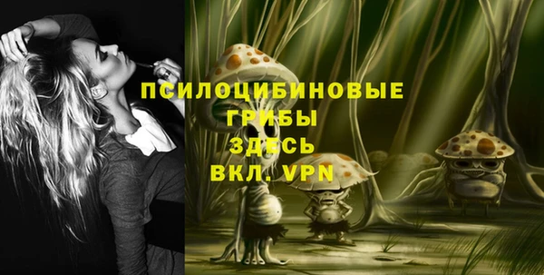 хмурый Богданович