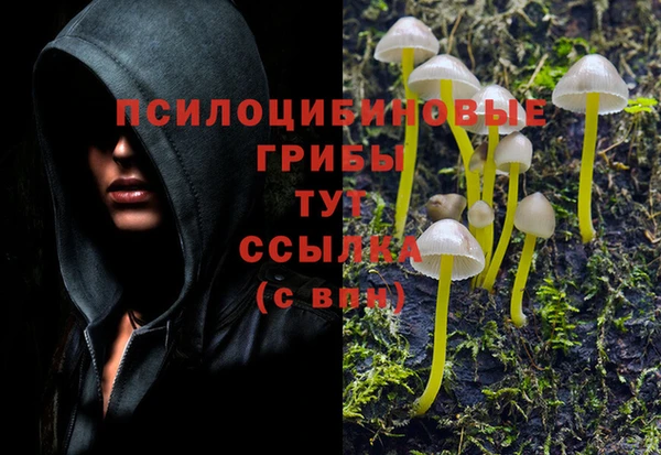 хмурый Богданович