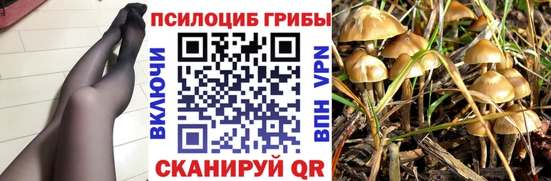 Галлюциногенные грибы Psilocybine cubensis  хочу   Свободный 